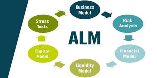 Asset and Liability Management (ALM)